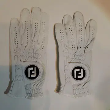 풋조이 퓨어 터치 골프 그로브 2장 세트 22cm