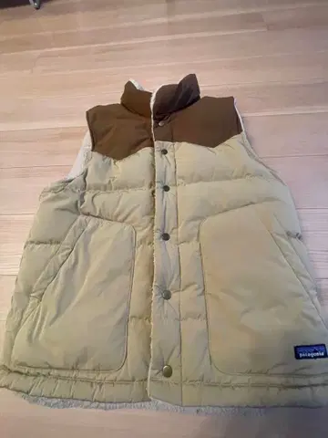 patagonia 비비 다운 베스트