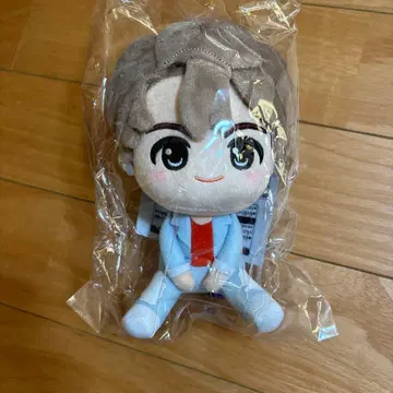 BTS 제일복권 TinyTAN DNA 정국상 봉제 인형