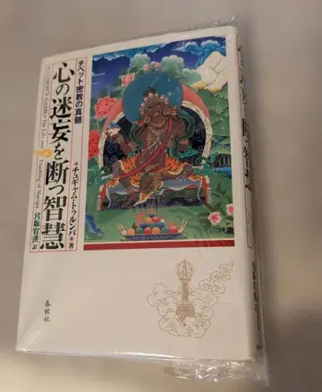 마음의 미혹을 끊는 지혜 티베트 밀교의 진수 미야사카 유코