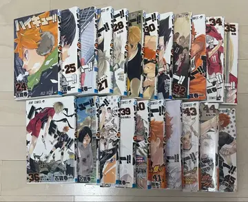 [ 1/3까지만 판매합니다 ] 하이큐!! 24~45 22권 세트