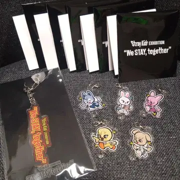 Stray Kids Exhibition 키링 세트