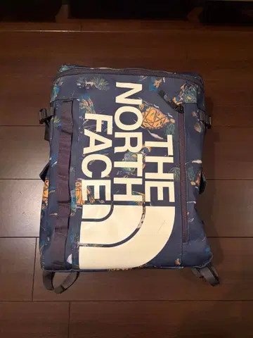 THE NORTH FACE 패턴 프린트 백팩