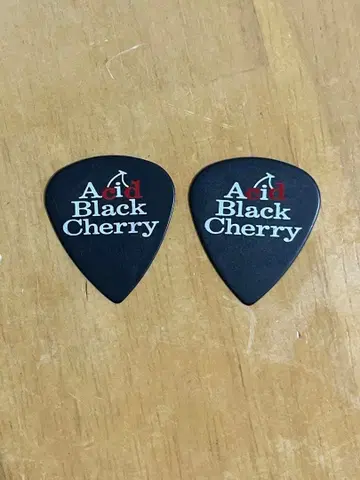 Acid Black Cherry 기타 피크 2장 세트