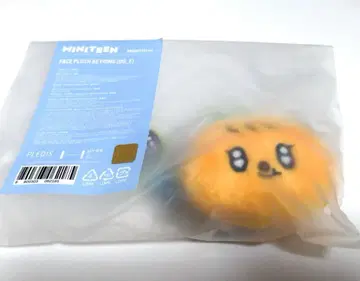 MINITEEN 페이스 키링 BBOOGYULI seventeen