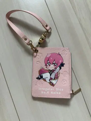 이레이스 나이코 패스 케이스