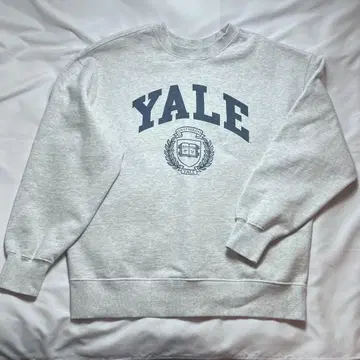 BEAMS YALE 칼리지 로고 맨투맨 트레이닝복 L 그레이