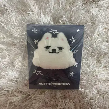 PPULBATU 마스코트 반지 체영몬 ACT:TOMORROW