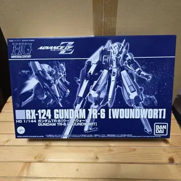 HG 1/144 RX-124 GUNDAM TR-6 [WOUNDWORT]