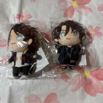 니지누이 사에구사 아키나 2종