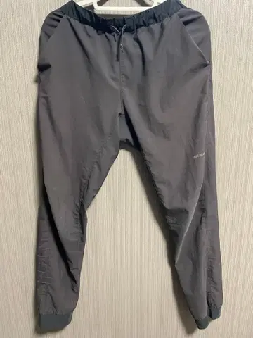 patagonia 텔본느 조거스