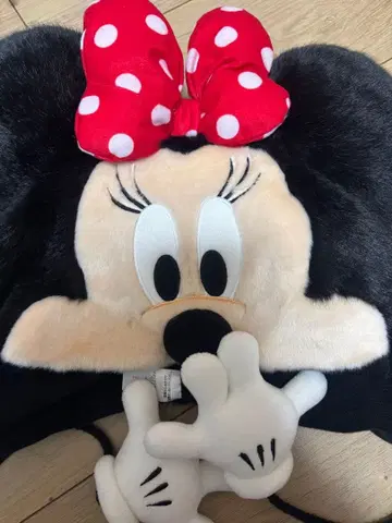 디즈니 미니 팬캡