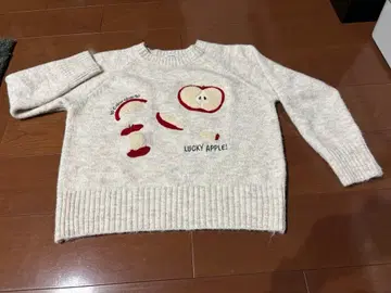 니트 스웨터 귀여운 애플