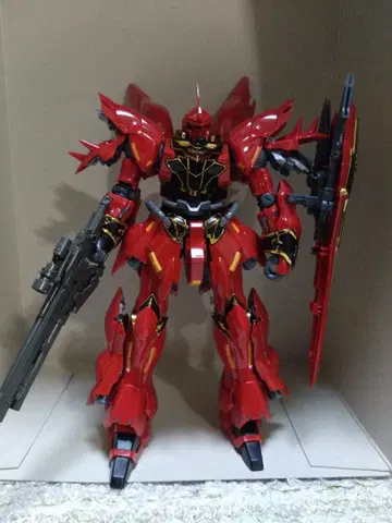 RG 시난주 1/1까지