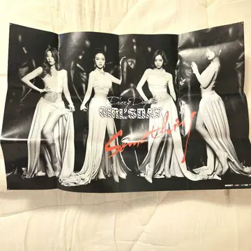 단종품 Girl's Day something 포스터