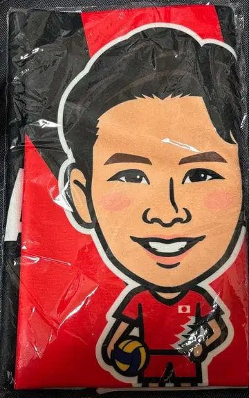 배구 남자 일본 대표 타카하시 란 페이스 타월