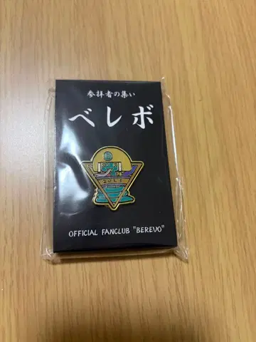 베레보 2025 핀 배지