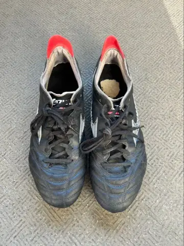 모렐리아 네오 3