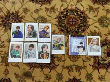 팬더드래곤 ReLIT 하피카