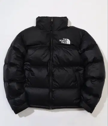 THE NORTH FACE 1966 ECO NUPTSE DOWN