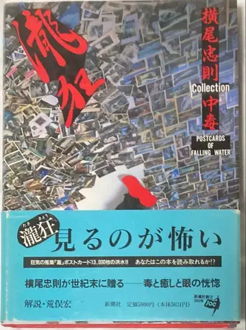 요코오 타다노리 / 타키쿄 (요코오 타다노리 Collection 중독)