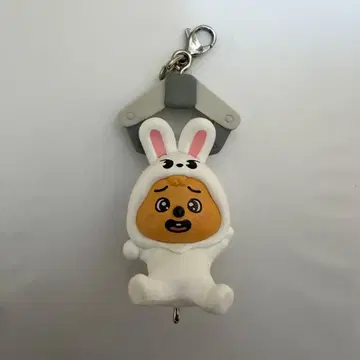 SKZOO 얠모아 얠모아 마스코트 한쿼카 리비트 카니칸