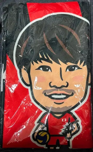 배구 남자 일본 대표 세키타 세이타