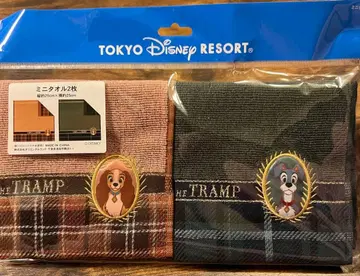 레이디 & 카드놀이 미니 타월 2개 세트