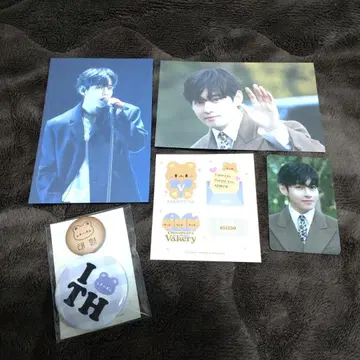 태태 생일 누나비님 5세트