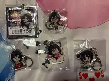 유즈 소프트 리들 조커 니죠인 하즈키 아크릴 키링