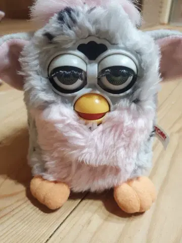 초대 퍼비 Ferby Gray Pink 그레이 핑크 줄무늬 패턴