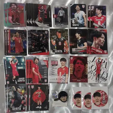 세키타 세이타이 묶음 판매