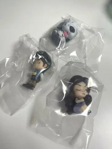 어깨 쿵 초코콘 도 짓기