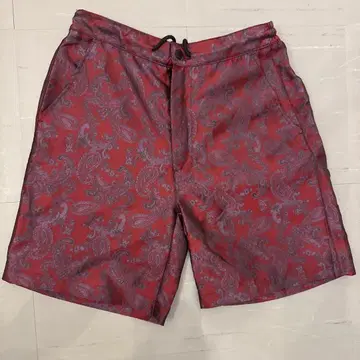 저널 스탠다드 페이즐리 무늬 숏팬츠