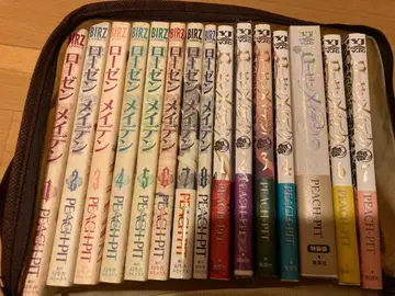 로젠 메이든 세트 판매