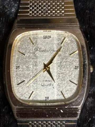 Planta Gen 쿼츠 손목시계 스퀘어