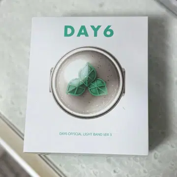 DAY6 응원봉