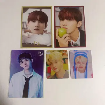 INI 타지마 쇼고 트레이딩 카드 묶음 판매