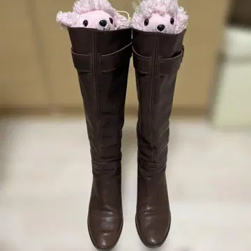 히미코 새상품급 24.0cm 다크 브라운 가죽 롱 부츠