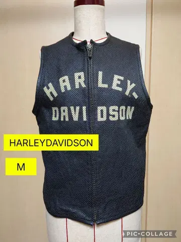HARLEYDAVIDSON 할리데이비슨 베스트 M