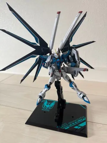 METAL ROBOT혼 SIDE MS 라이징 프리덤 건담