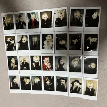 28장 그리바 광귀 폴라로이드