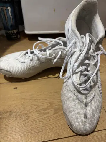 푸마 이름 모름