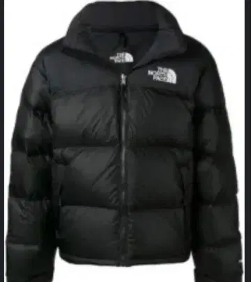 THE NORTH FACE 블랙 다운 자켓