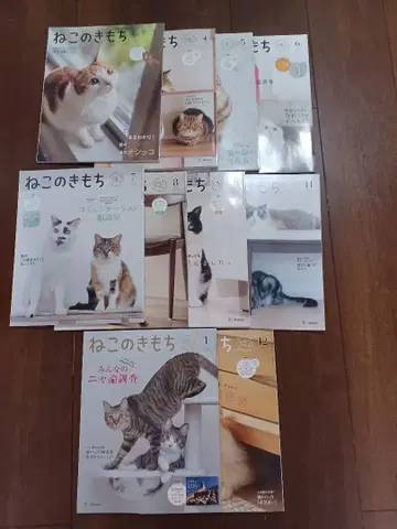 고양이의 마음 2025년 3월~2026년 1월 9월 제외