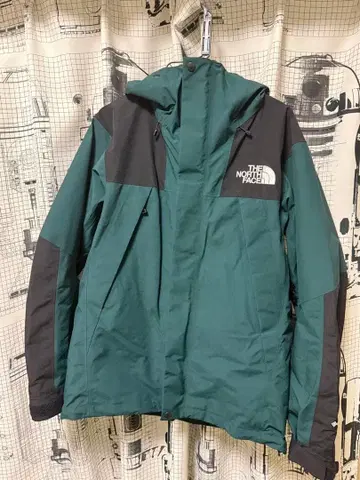 THE NORTH FACE 고어텍스 마운틴 자켓 L 사이즈