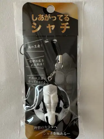 완성된 범고래 키링 스트랩