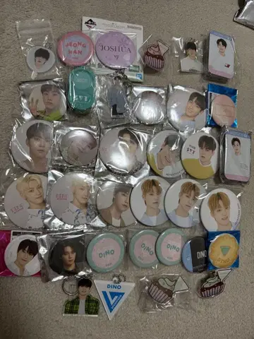 seventeen 캔뱃지 키링