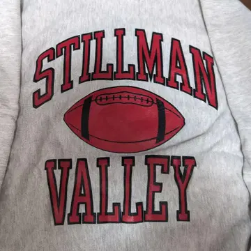 90s Champion Stillman Valley 리버스 위브