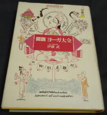 도설 요가 대전